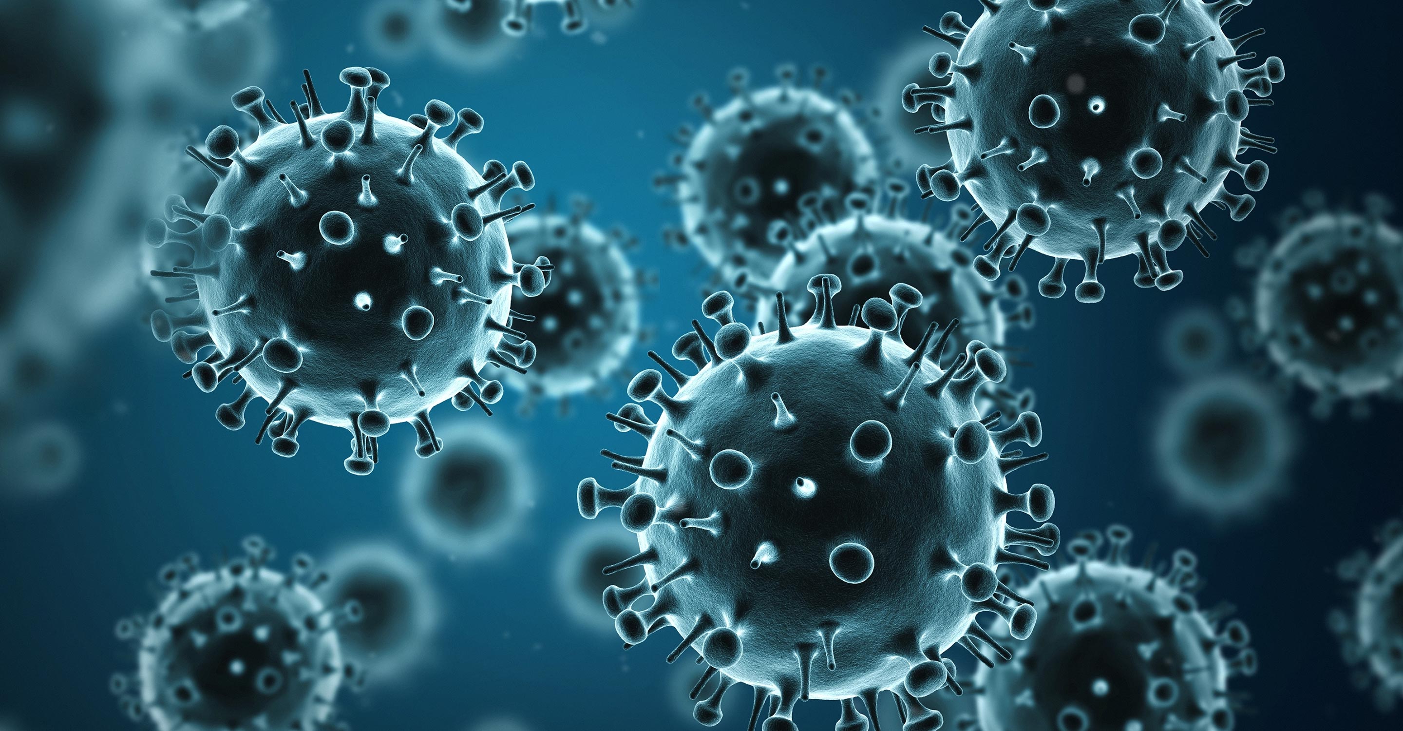 swine flu virus