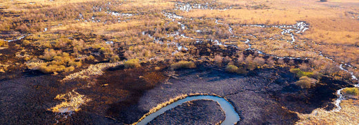 Dry and burnt brush surrounding a running river