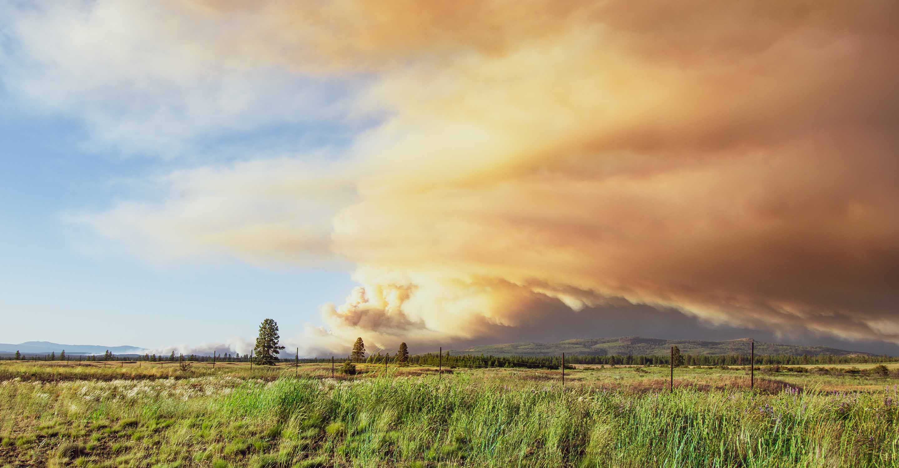 Wildfire smoke over grassland