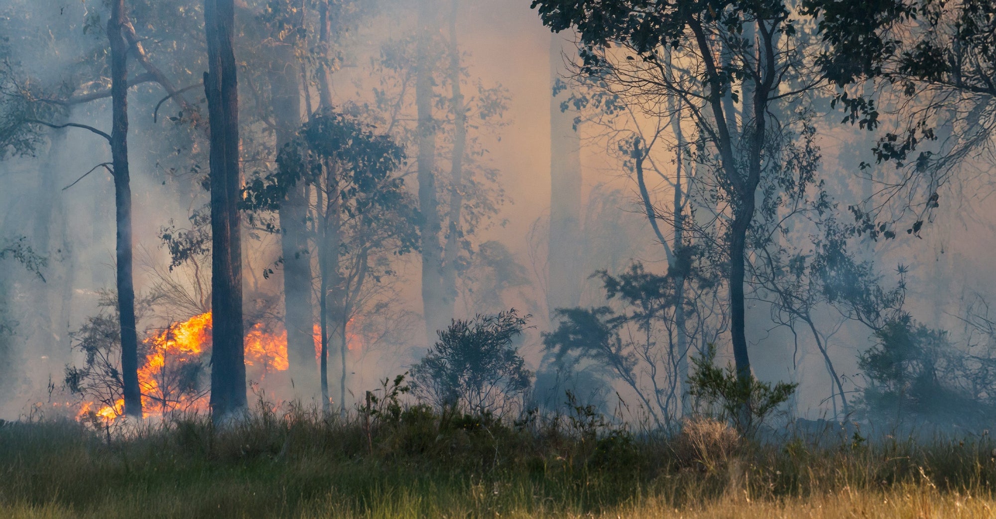 Bushfire burning in Victoria