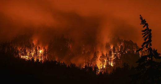 PNW wildfires