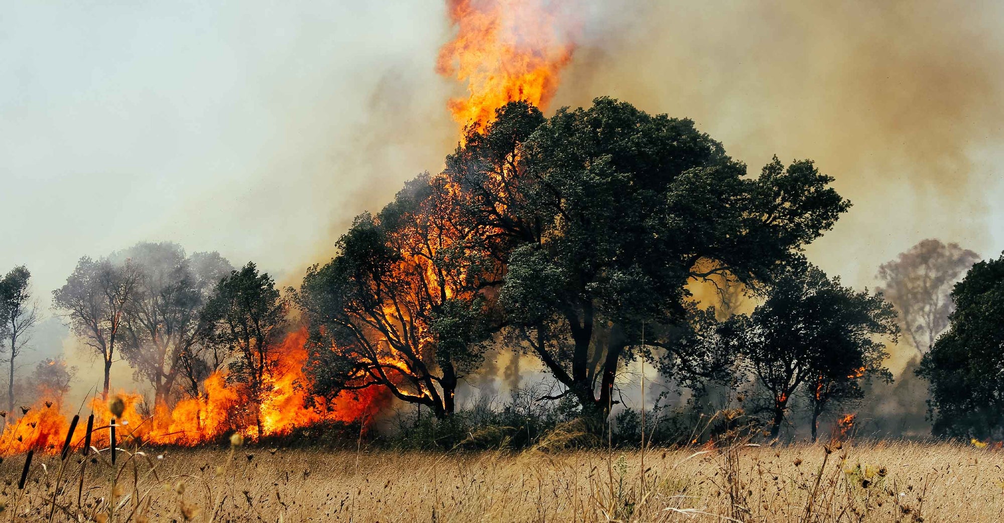 Wildfire Map Spotlight: Chile’s Viña del Mar Wildfire