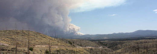 Smoke rises in the New Mexico wilderness