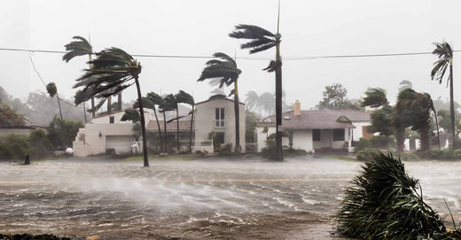 Indoor Air Quality Alert: Hurricane Debby