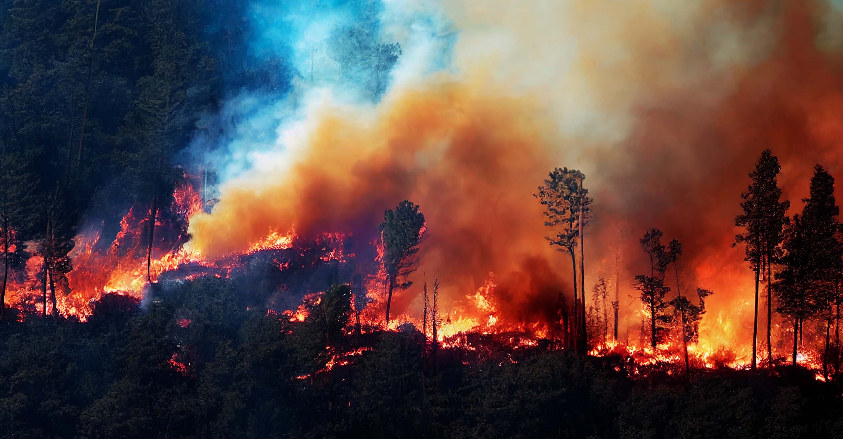 Burning trees and smoke