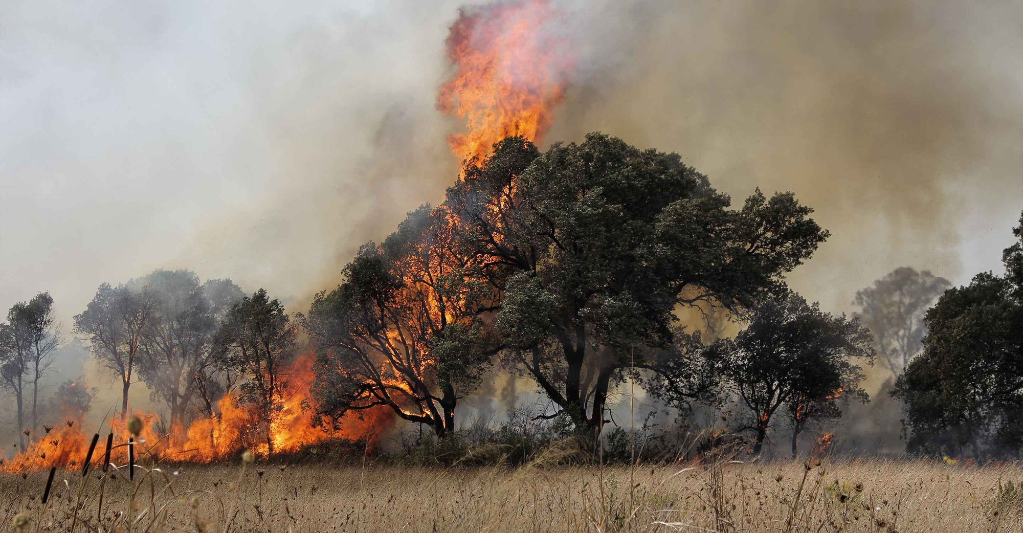 Fires burning in Rhodes.