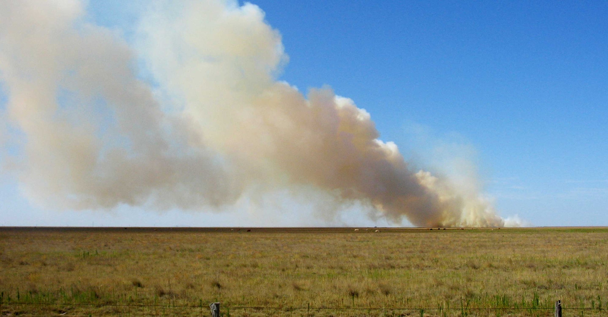 Wildfire Map Spotlight: Smokehouse Creek Fire is Second-Largest in U.S. History