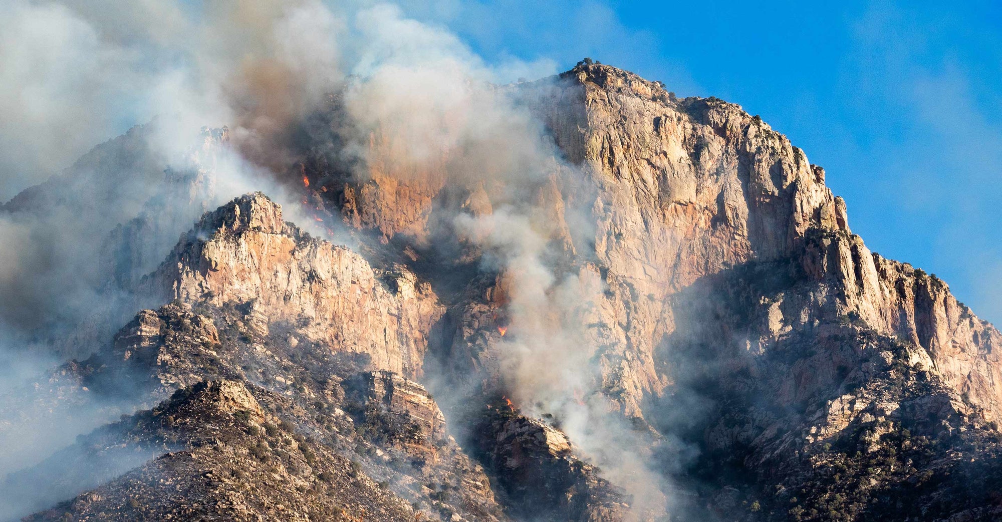 Wildfire Map Spotlight: Wildcat Fire in Arizona