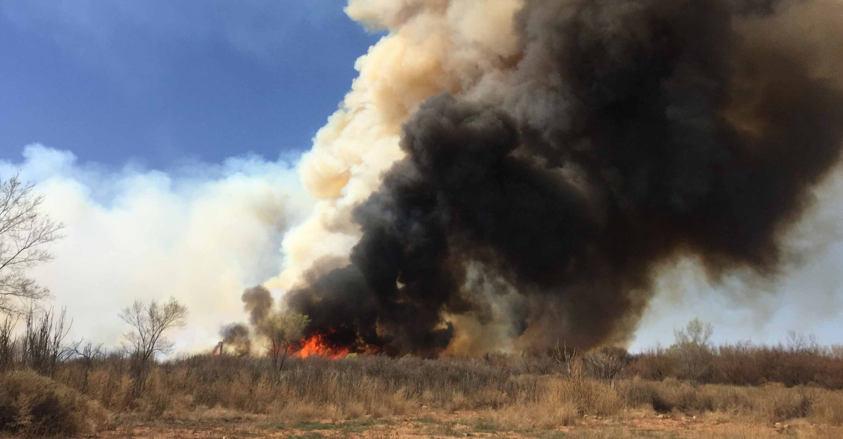 Fire on prairie brush