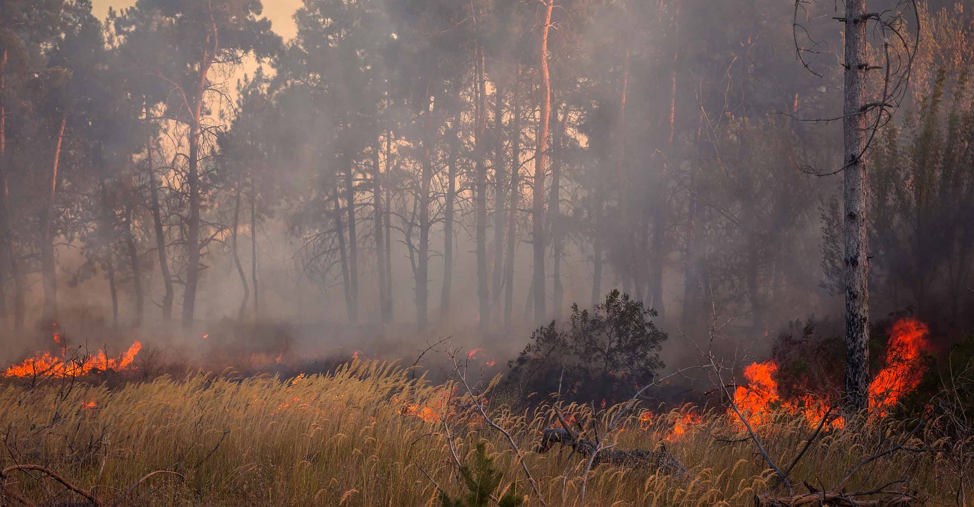 Canadian wildfire smoke lingers in Michigan.