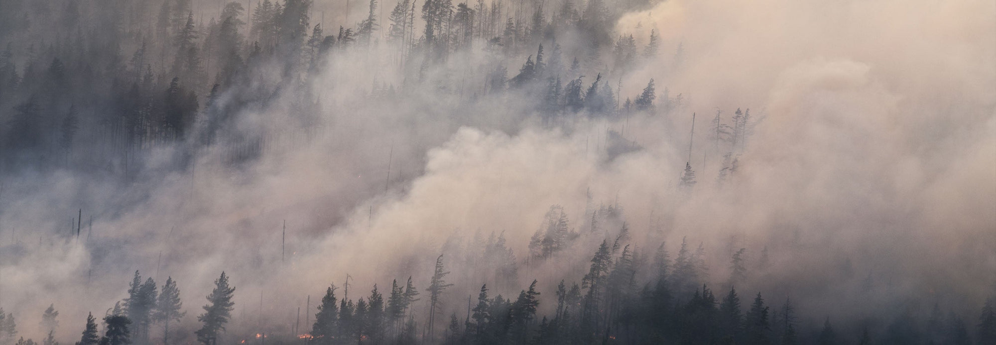 Poor air quality in Wisconsin is coming from wildfire smoke in Canada.