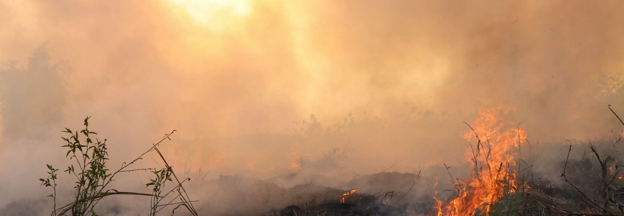 Wildfires in Canada are affecting air quality in Pennsylvania.