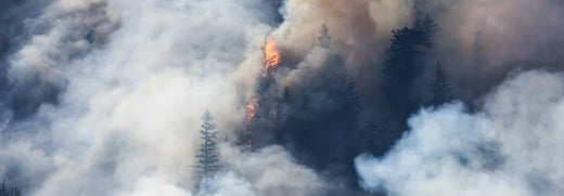 Smoke rising from Quebec wildfires