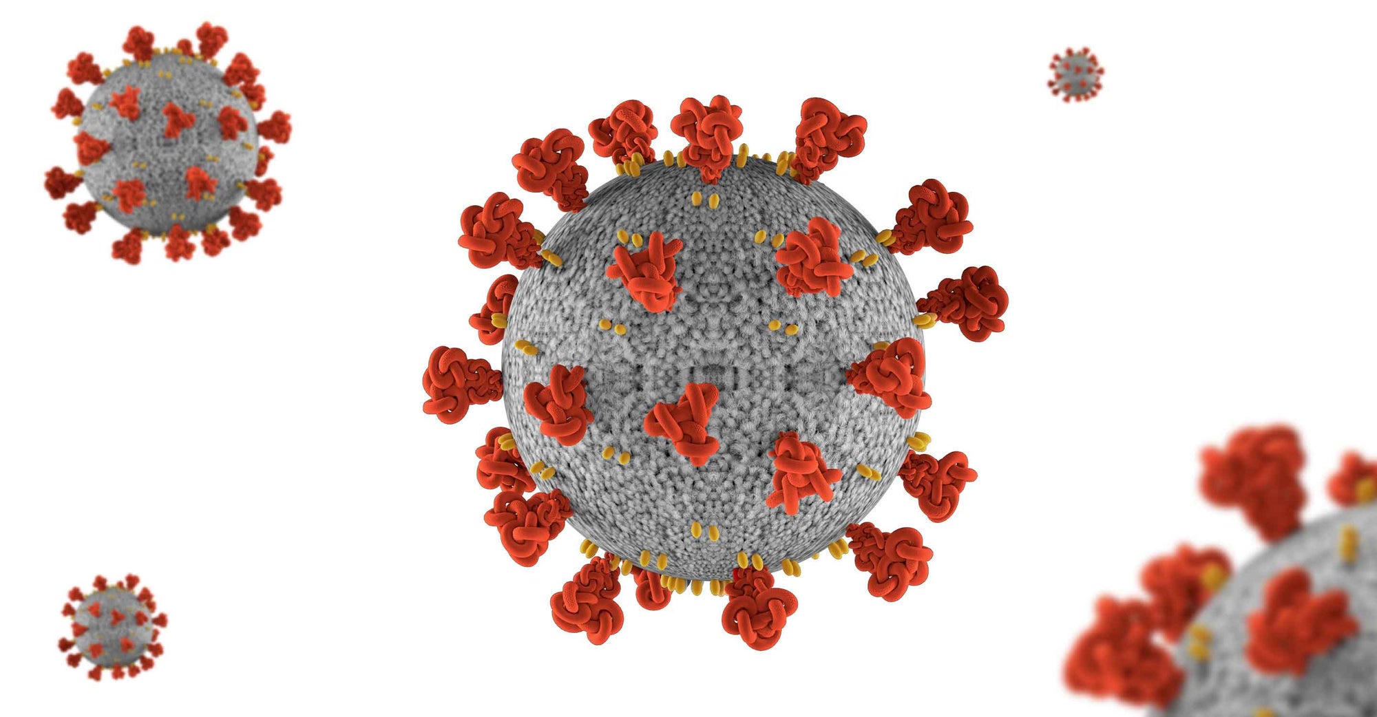 covid virus