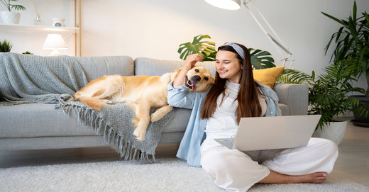 Creating A Pet-Friendly Home with Air Purifiers