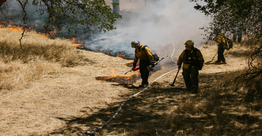 Air Purifiers and Wildfire Smoke: A Vital Combination