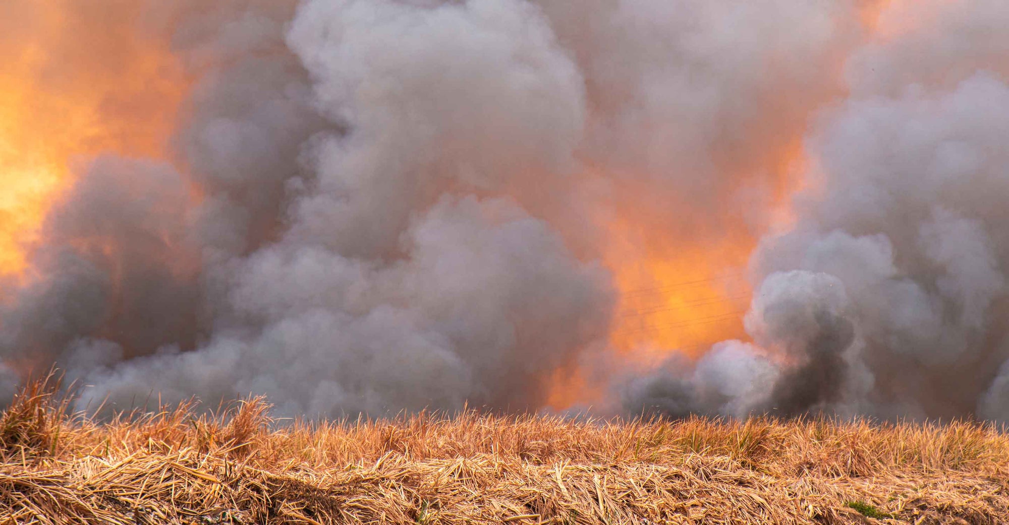 wildfire smoke in field