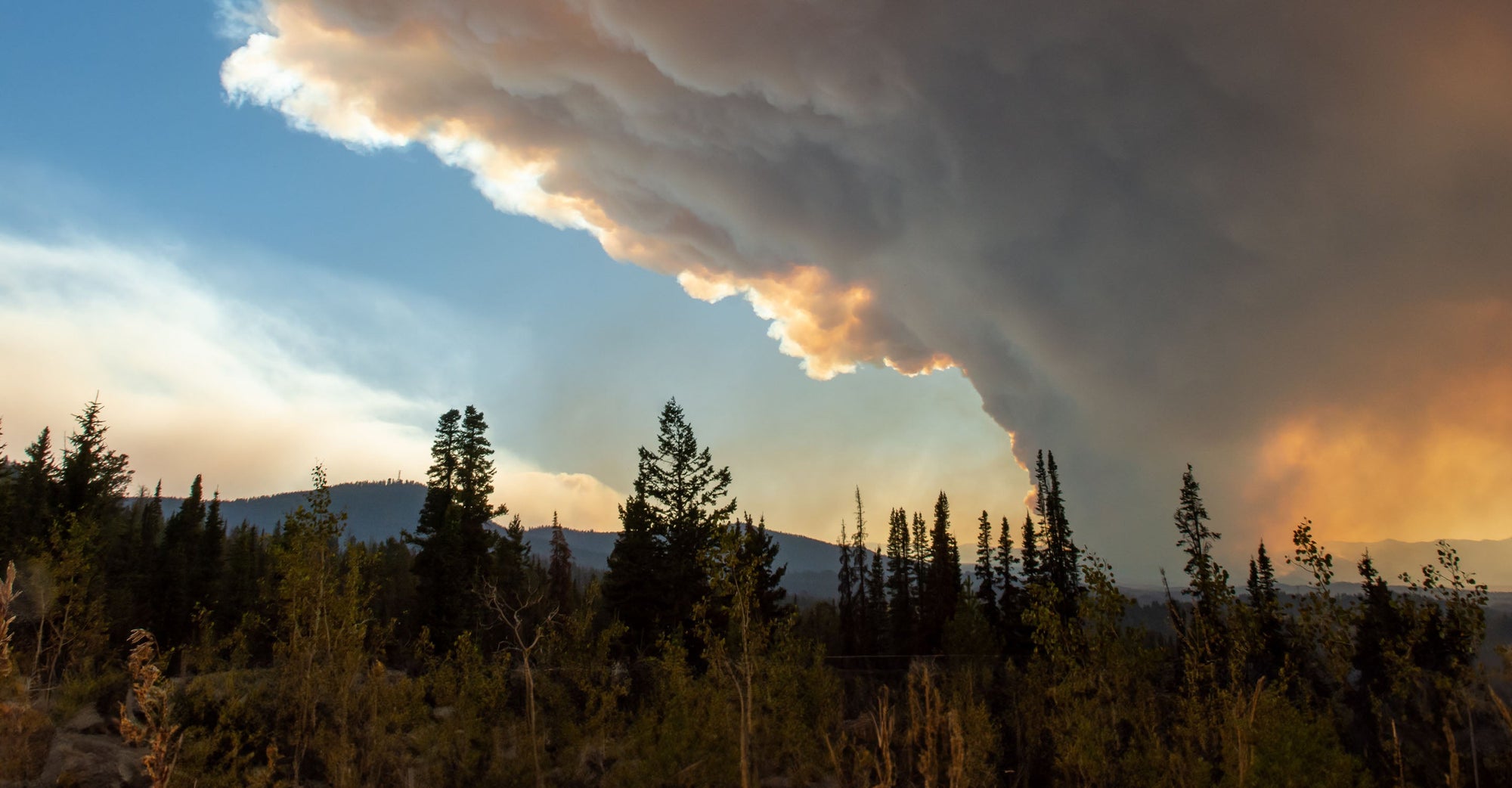 Wildfire smoke rising over a forest and mountain view