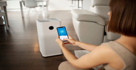 Cost-Effective Air Purifier Systems For Your Home